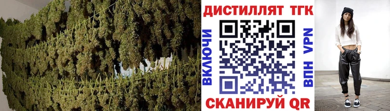 ТГК THC oil  Купить закладки  Октябрьск 