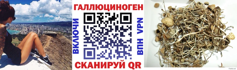 Купить где  Октябрьск  Галлюциногенные грибы Magic Shrooms 